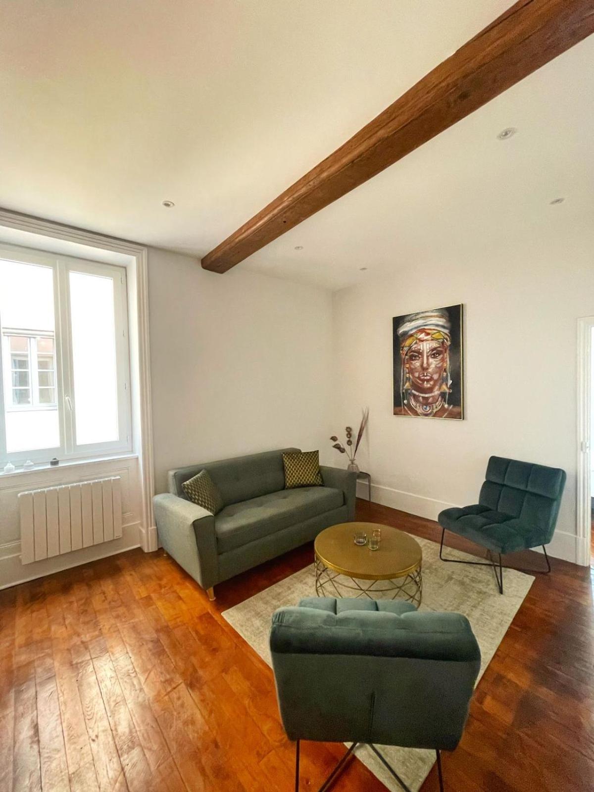 Center Macon Charmant Appartement Avec Vue Sur La Saone Bagian luar foto