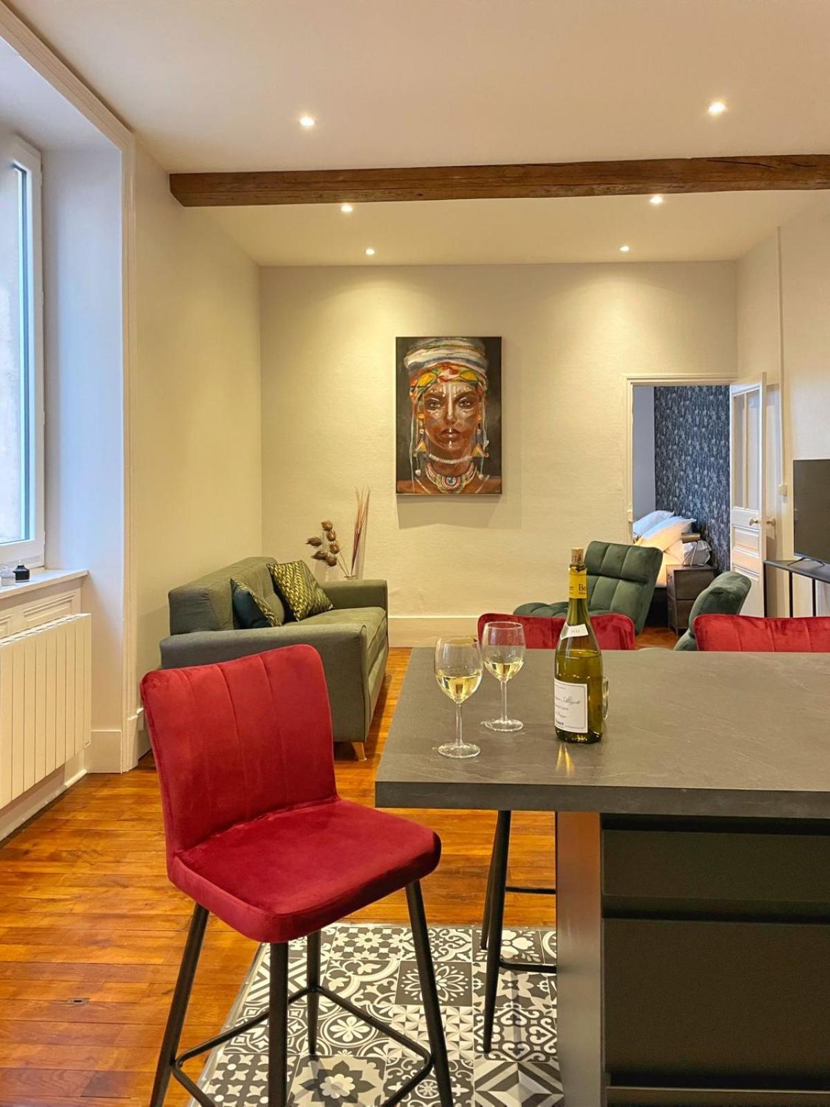 Center Macon Charmant Appartement Avec Vue Sur La Saone Bagian luar foto